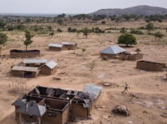 Rappresentante del GOP Baumgartner: dovremo dare sostegno e assistenza alla Nigeria