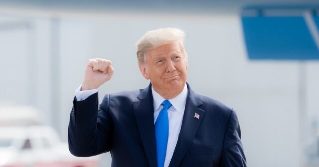 trump-smile-fist-pump-flickr-1-640x335.jpg