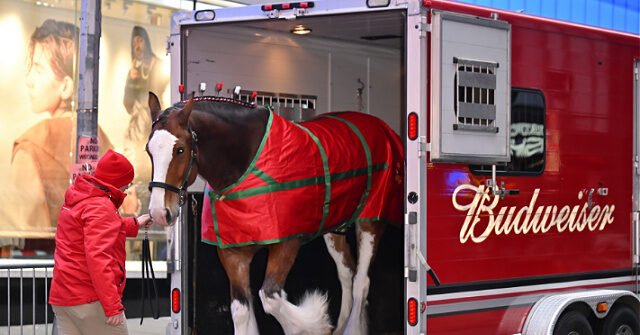 Budweiser-Clydesdale-filephoto2024gettyimages-640x335.jpg