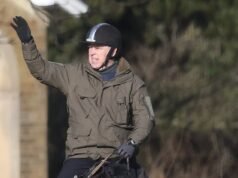 Anche alla fine, il testardo Andrew non capì. Ciò che è realmente accaduto dietro le quinte è una lezione magistrale su come non inscenare uno scandalo pubblico