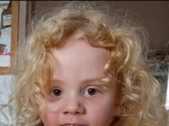 La polizia che indaga sulla scomparsa di Gus Lamont identifica il sospetto come “qualcuno che vive nella proprietà” dopo “incongruenze” nelle prove della famiglia, ma NON si tratta di uno dei suoi genitori