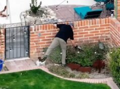 Spruzzi d’acqua dalla casa di Nancy Guthrie mentre la polizia perlustra la proprietà alla ricerca di indizi mancati e si avvicina la scadenza del riscatto: aggiornamenti in tempo reale