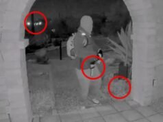 Indizi nascosti nel video della sospetta Nancy Guthrie: l’auto in fuga, ciò che rivelano i fiori e una nuova scioccante teoria del rapimento