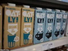 Il latte d’avena non può essere venduto come latte, la Corte Suprema stabilisce che il produttore di bevande vegane Oatly perde una lunga battaglia legale con l’industria lattiero-casearia