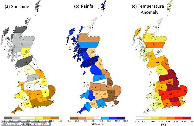 106508873-15573683-Scientists_from_the_University_of_Portsmouth_surveyed_400_000_Br-a-284_1771499731453.jpg