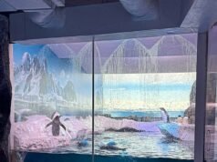 Il destino crudele dei pinguini intrappolati nel seminterrato di Londra che non vedono MAI la luce del sole o l’aria fresca: è uno scandalo che farà arrabbiare gli amanti degli animali, dice LIZ JONES. Questa è la storia spietata di un’azienda che ne ricava qualcosa… e di come TU puoi aiutarli a porre fine alla loro miseria