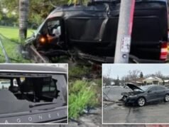 Agitatori impazziti attaccano i veicoli del DHS a un ritmo allarmante: “Incitamento alla violenza”