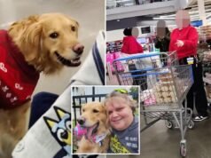 Acquirente di Walmart presumibilmente seguito dai dipendenti del negozio per il cane di servizio senza guinzaglio