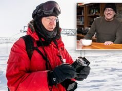 Il richiamo della natura! L’Antartide offre lavoro a candidati coraggiosi