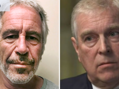 Le azioni di Andrew come inviato commerciale del Regno Unito sono state rivelate nei file Epstein