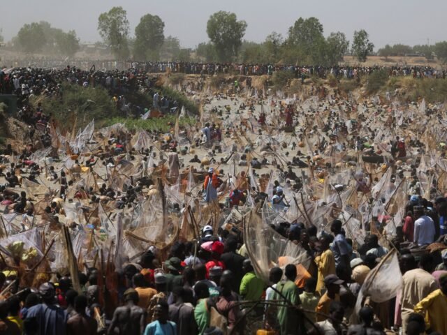 2026-02-14T163141Z_1777688660_RC2OLJALAEND_RTRMADP_3_NIGERIA-FESTIVAL-ARGUNGU-1771139565.jpg