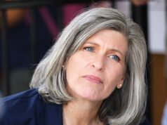 I riferimenti incrociati agli SSN sono la chiave per catturare i clandestini che detengono CDL, studiare i truffatori del Minnesota per vedere se quello era un “modello”