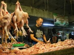 Raggiungendo i 45 mila IDR al kg, il Ministro del Commercio Budi controllerà i prezzi della carne di pollo sul mercato