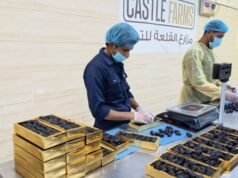 Datteri e acqua bianca durante la rottura del digiuno, Sunnah del Profeta piena di saggezza