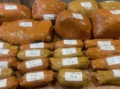 Raid notturno nel parcheggio dell’ospedale UKI Cawang, la polizia sequestra quasi 10 kg di marijuana e arresta 3 sospetti