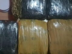 Polda Metro Jaya arresta 3 uomini che volevano distribuire 15,5 kg di marijuana