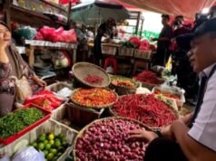 È sorprendente che il prezzo del peperoncino abbia raggiunto i 140mila IDR al kg e il governo lo sta facendo