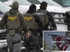 Annunci pro-ICE che ricordano agli americani “immigrati clandestini pericolosi” Biden ha lasciato correre negli stati indecisi davanti allo Stato dell’Unione