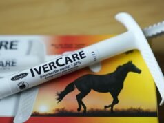 Gli strani MAHA di RFK Jr. non possono abbandonare il loro feticismo del vermifugo per cavalli