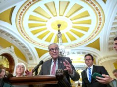 I democratici al Senato auspicano un lockdown, con l’opinione pubblica dalla loro parte