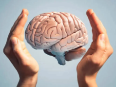 Gli scienziati trovano indizi sull’evoluzione del cervello umano nella lunghezza delle dita: studio