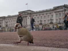 Dall’abdicazione a Diana, Harry e all’ex principe Andrea. Uno sguardo ai principali scandali reali britannici