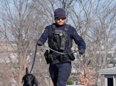 Un uomo con un fucile corre verso il Campidoglio e viene arrestato