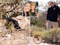 Il misterioso guanto nero trovato vicino alla casa di Nancy Guthrie potrebbe contenere prove cruciali del DNA: ex agente dell’FBI