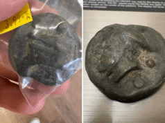 Un uomo paga 3,99 dollari per un oggetto dell’usato: un esperto rivela che ha 2.200 anni