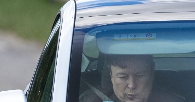 Elon-Musk-risks-a-ride-in-a-Tesla-robotaxi-640x335.jpg