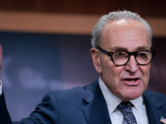 SAVE Atto che richiede un documento d’identità per votare “È Jim Crow 2.0”