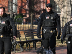 I servizi segreti statunitensi restituiscono 950.000 dollari rubati in risparmi di una vita a una donna anziana