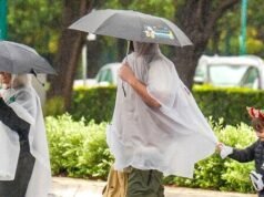 Ospiti di Disneyland colpiti dalla caduta di un albero durante una tempesta di vento