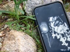 Aggiornamento Nancy Guthrie: nuovo indizio su chi si nasconde dietro la scomparsa