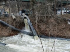 Democratico di fronte a una reazione negativa per il post sulla fuoriuscita di liquami del fiume Potomac