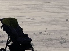 Un passante salva il bambino dopo che il vento ha spinto il passeggino nel lago Michigan