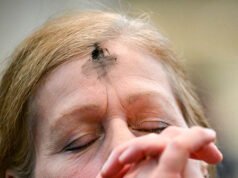 I democratici criticati per aver ignorato il Mercoledì delle Ceneri cristiano