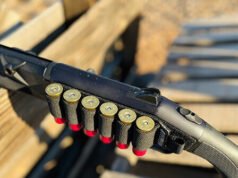 I democratici del Senato del New Mexico approvano il divieto delle armi semiautomatiche