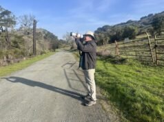 Eye on the Hills: il lavoro del fotografo sulla fauna selvatica dell’area di Oakland solleva gli spiriti