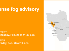 Valli interne della North Bay sotto avviso di fitta nebbia fino a giovedì mezzogiorno: visibilità a un quarto di miglio
