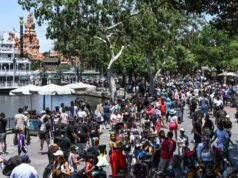 Niles: Disneyland potrà trovare spazio per nuovi fan?