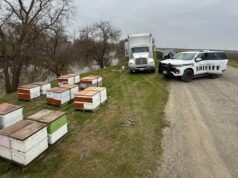 La rapina all’alveare finisce con l’arresto di un uomo di Sacramento