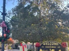 Gli standard di progettazione del villaggio di Saratoga verranno sottoposti all’udienza pubblica il 25 febbraio