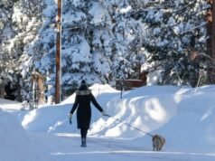 Il manto nevoso della Sierra Nevada è solo il 68% del normale dopo il colpo di frusta invernale, ma le riserve idriche sono ok, dicono gli esperti