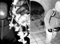 Dati chiave nel caso Nancy Guthrie che mostrano che il sospetto rapitore non è “un assassino addestrato”: ex agente speciale dell’FBI