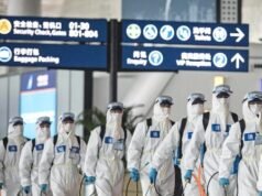 6 anni dopo la pandemia, la Cina monitora le pericolose malattie trasmesse dai pipistrelli durante i viaggi del Capodanno lunare