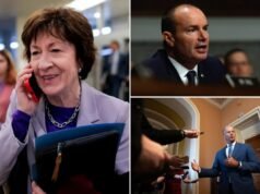 Il senatore Collins sostiene l’America Act del GOP (SAVE) che richiede l’identificazione dell’elettore, a una condizione