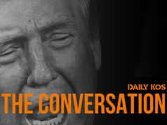 I conservatori davvero non si piacciono