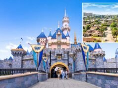 La Disney sta rimodellando il mercato immobiliare con espansioni di parchi a tema “ben eseguite”.