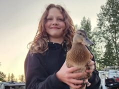 Ragazza, 12 anni, colpita alla testa mentre cercava di salvare i compagni di classe nell’attacco in Canada